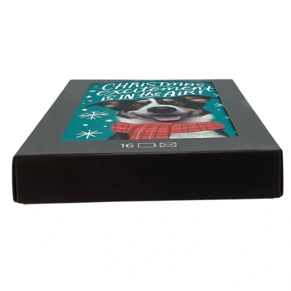 Hallmark “Christmas Excitement is in the Air!” Boxed Christmas Cards, Pack of 16
